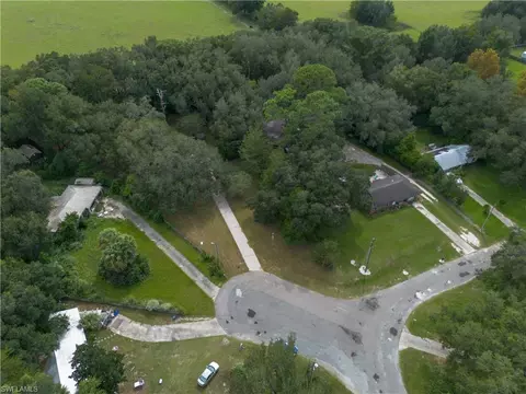 View/Area - 16564 NE 25th Ln, Williston, FL 32696 photo 1 of 3