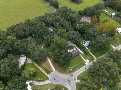 View/Area - 16564 NE 25th Ln, Williston, FL 32696 photo 3 of 3