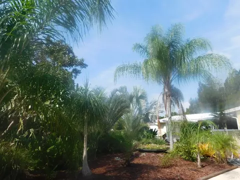 3610 2nd Ave, Grant Valkaria, FL 32950 photo 1