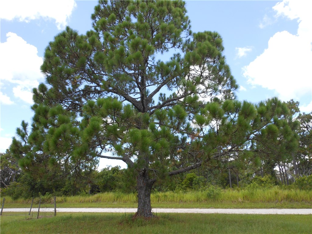 5714 Tropical Ave, Okeechobee, FL 34972 photo 4