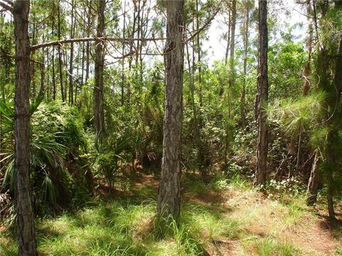 8675 Fleming Grant Rd, Micco, FL 32976 photo 24