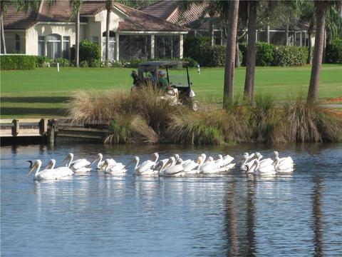 5010 Harmony Cir #107, Vero Beach, FL 32967 photo 30