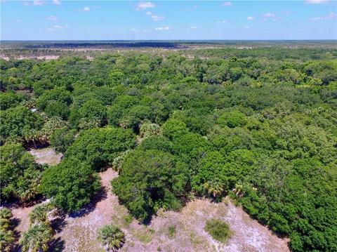 9160 Fleming Grant Rd, Micco, FL 32976 photo 3