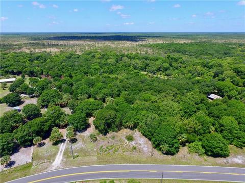 9160 Fleming Grant Rd, Micco, FL 32976 photo 4