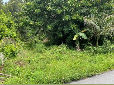 9470 Hibiscus Ave, Micco, FL 32976 photo 2