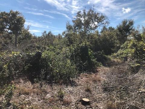 3931 14th St, Micco, FL 32976 photo 3