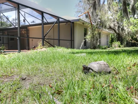 3585 Heather Ln, Micco, FL 32976 photo 36