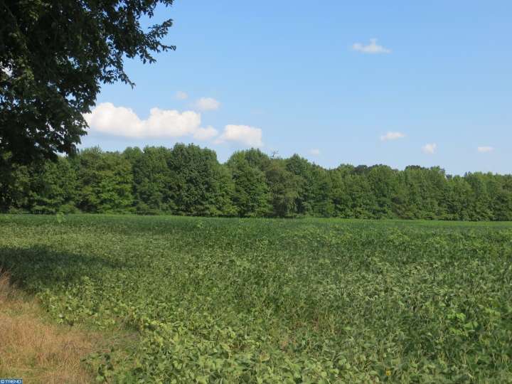 2024 Old York Rd, Burlington, NJ 08016 photo 23