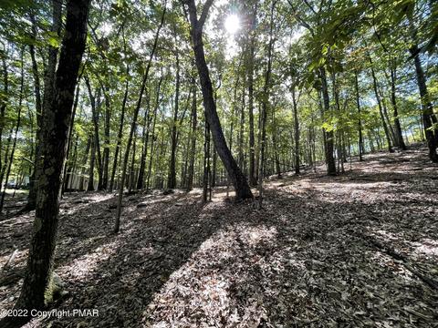 151 Chipmunk Road, Bushkill, PA 18324 photo 1