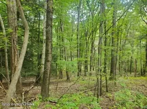lot24 Cayuga Ct, Effort, PA 18330