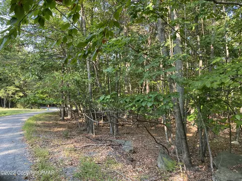 lot401 Wildwood Ln, Canadensis, PA 18325