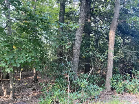 lot3 T 561, Cresco, PA 18326
