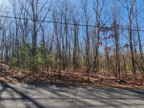 lot48 Pocono Forested Dr, East Stroudsburg, PA 18302