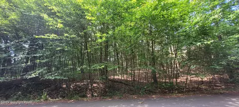 H17 Wolf Hollow Road, Lake Harmony, PA 18624