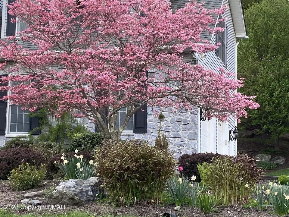  117 Old Kettle Ct, Stroudsburg, PA 18360 photo 5