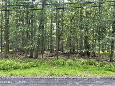 110 Tommys Ln, Pocono Lake, PA 18347