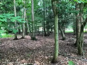 E14 Trail Ridge Road, Albrightsville, PA 18210