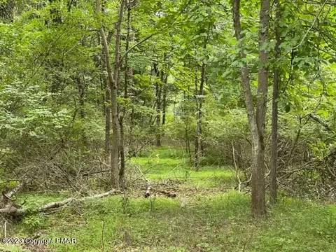 Cottontail Lane, East Stroudsburg, PA 18302