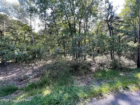 Ev1094 Petrarch Trail, Albrightsville, PA 18210