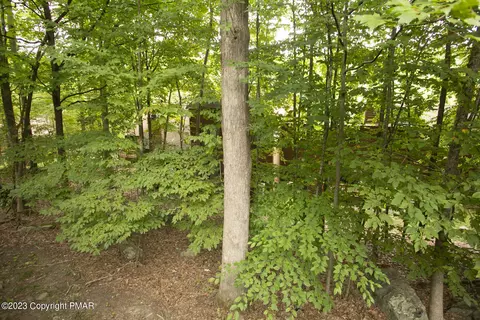 331 Crewe Ct, Bushkill, PA 18324 photo 19