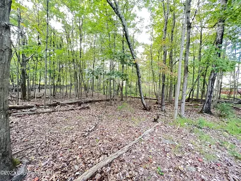 264 Kirkham Rd, Bushkill, PA 18324 photo 4