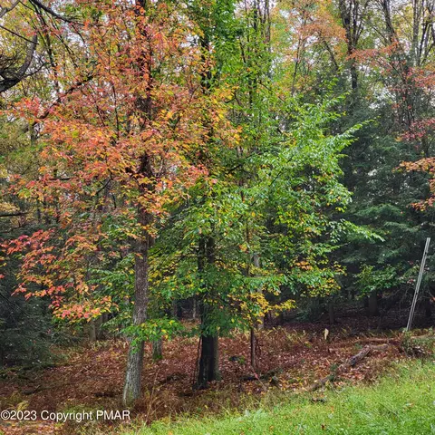 Dryden Drive, Albrightsville, PA 18210
