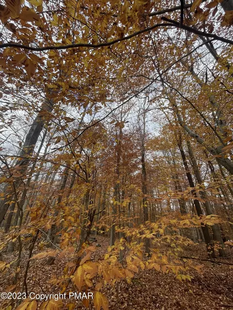 Creole Trail, Pocono Lake, PA 18347