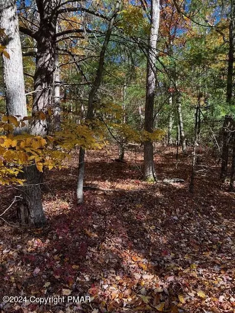 lot34 Pocono Forested Dr, East Stroudsburg, PA 18302