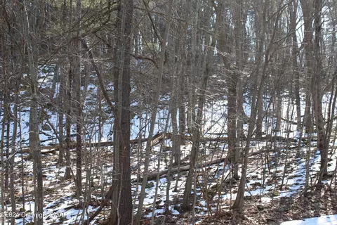 Deer Path Path, East Stroudsburg, PA 18302