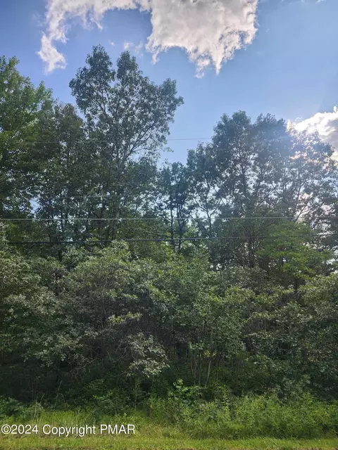 lot F544 Drakes Dr, Jim Thorpe, PA 18229