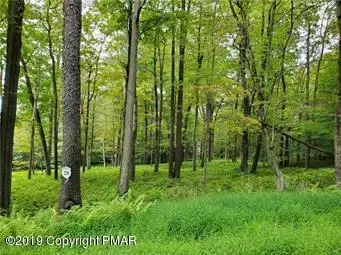 28 Oak Leaf Ln, Pocono Lake, PA 18347
