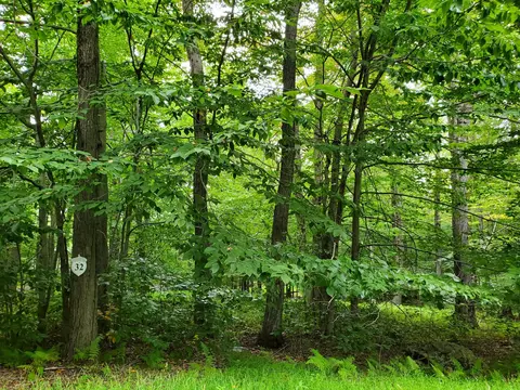 32 Tall Oak Dr, Pocono Lake, PA 18347