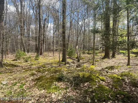 Owassa Drive, Pocono Lake, PA 18347