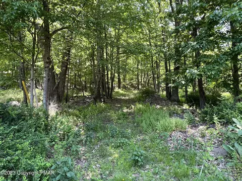 lot11 Dyson Rd, Swiftwater, PA 18370