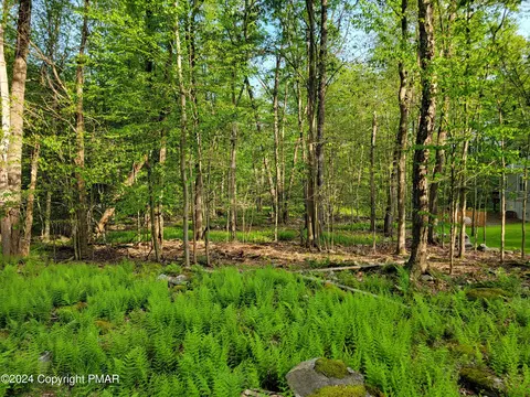1882 Fawn Court, Clifton Township, PA 18424
