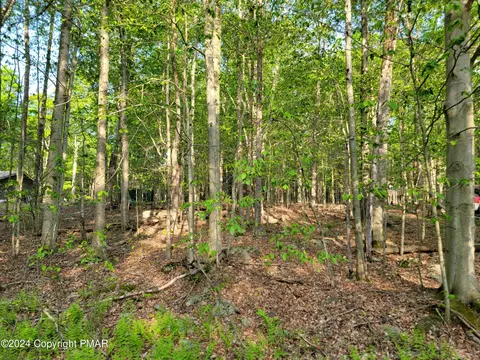 N1951 E Creek View Drive, Clifton Township, PA 18424