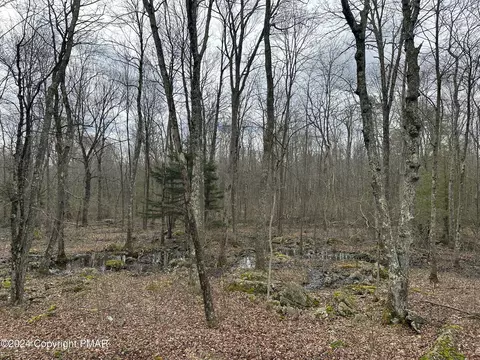 162 Ness Rd, Dingmans Ferry, PA 18328 photo 22