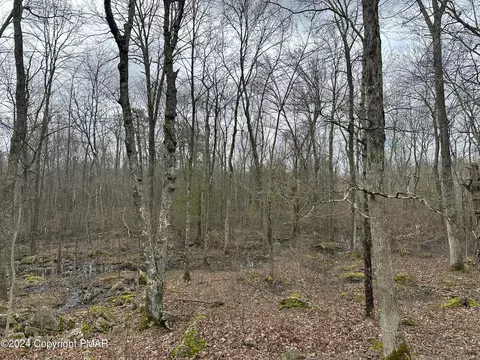 162 Ness Rd, Dingmans Ferry, PA 18328 photo 21