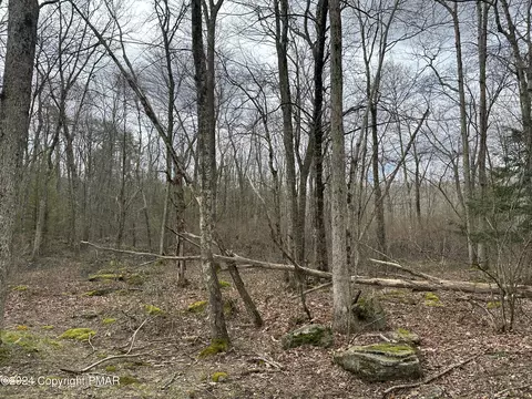 162 Ness Rd, Dingmans Ferry, PA 18328 photo 19