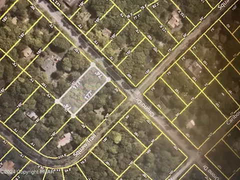 Orono Drive, Pocono Lake, PA 18347
