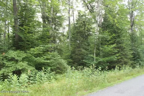 517 E Forest Rd, Pocono Lake, PA 18347