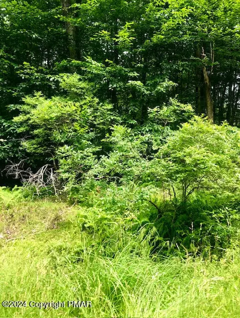 34 Pontiac Path, Pocono Lake, PA 18347
