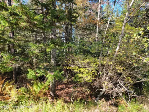 lot18 19 Louis Ln, Gouldsboro, PA 18424