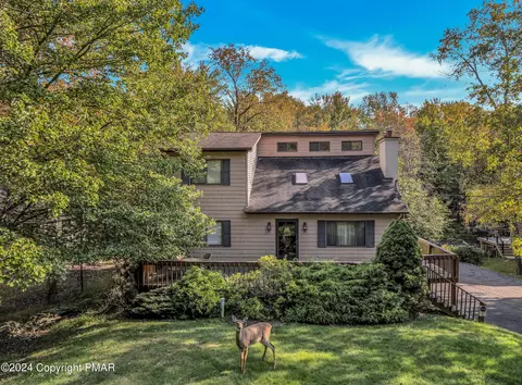 252 Trout Creek Dr, Pocono Lake, PA 18347
