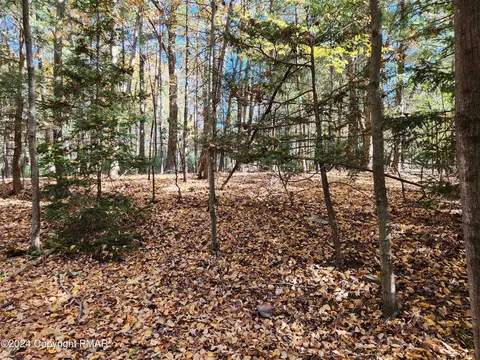 lot25 Mongul Cir, Henryville, PA 18332
