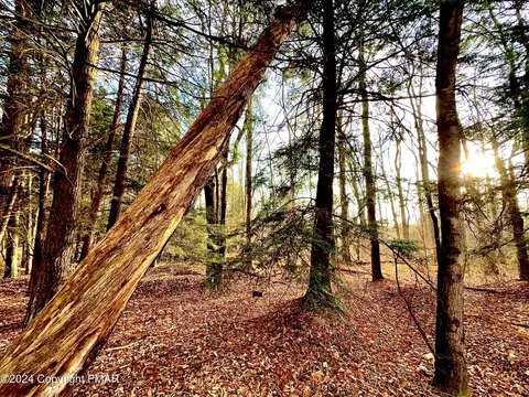 lot A69 State Route 534 Lennox Ave, Albrightsville, PA 18210