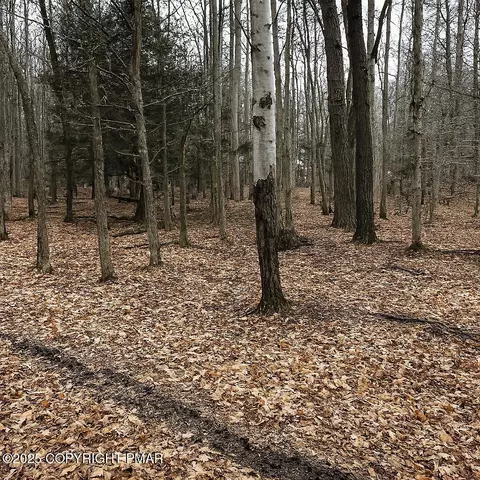 Timberlane Dr & Tamarack Trail, Albrightsville, PA 18210