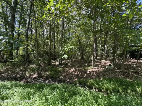 lot75 Michael Ln, Stroudsburg, PA 18360