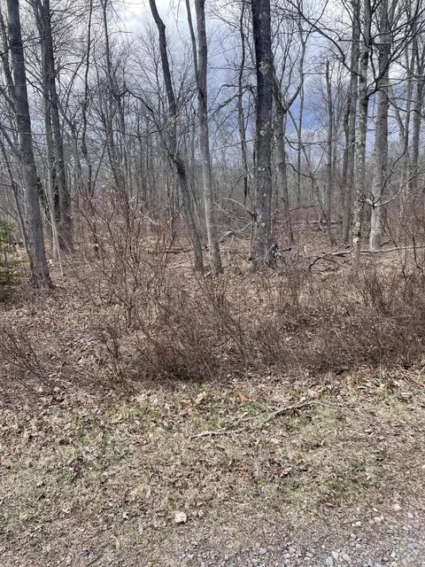A8 Shawnee Place, Pocono Lake, PA 18347