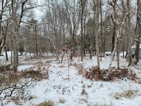 Nosirrah Road, Albrightsville, PA 18210